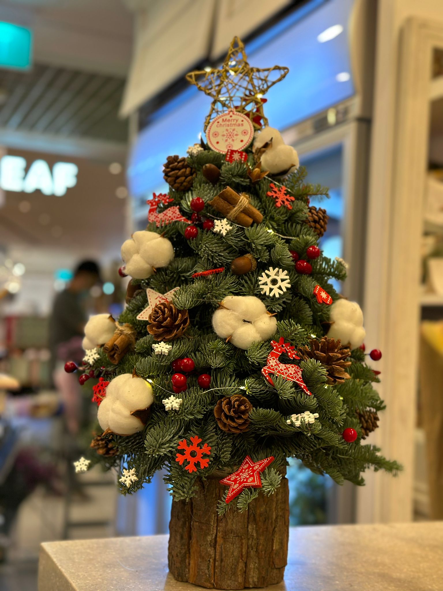 Mini Christmas Tree 2023